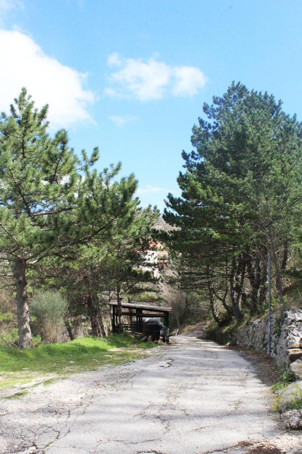Villa Mini stone house Omiš Esterno foto